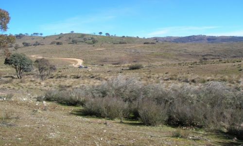 Zdjęcie AUSTRALIA / NSW / Burra / W country..