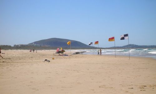 Zdjecie AUSTRALIA / Sunshine Coast / Coolum / Coolum Beach