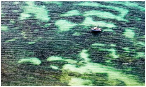 Zdjcie AUSTRALIA / Sydney / Port Stephens / Snorkling