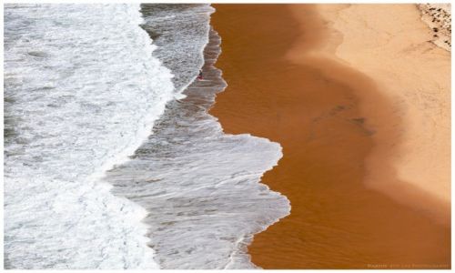 Zdjcie AUSTRALIA / Sydney / Port Stephens / THE BEACH