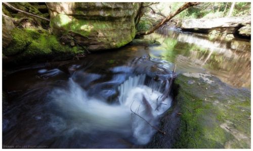 Zdjcie AUSTRALIA / Sydney / Berowra / On the Creek