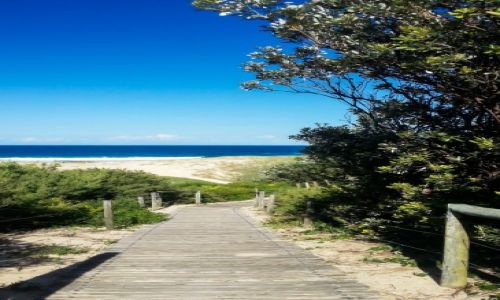 Zdjcie AUSTRALIA / NSW / Port Stephens / Vamos a la plaja!
