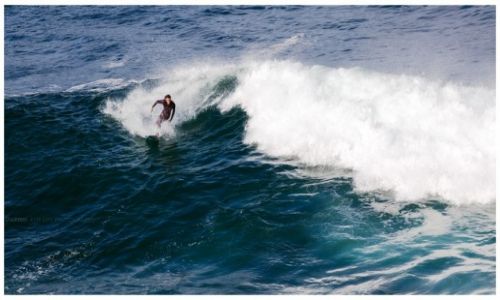 Zdjcie AUSTRALIA / Sydney / Manly / Got the Wave