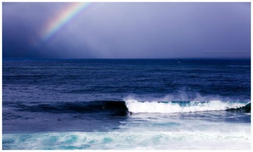 Zdjcie AUSTRALIA / Sydney / Manly / Rain is comming