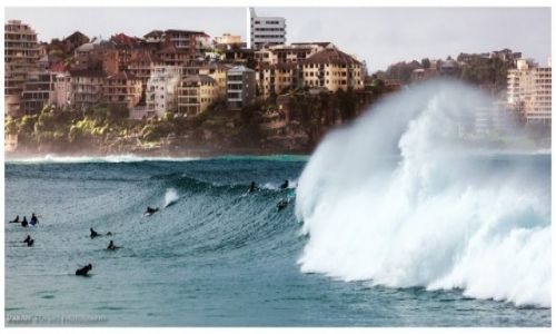 Zdjcie AUSTRALIA / Sydney / Manly / Manly shore