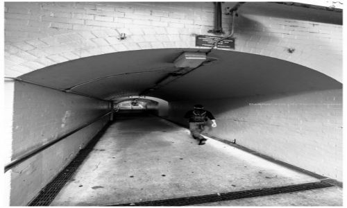 Zdjcie AUSTRALIA / Sydney / Waytara / Waytara