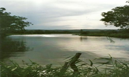 Zdjcie AUSTRALIA / New South Wales / Myall Lakes N.P. / Rzeka Myall