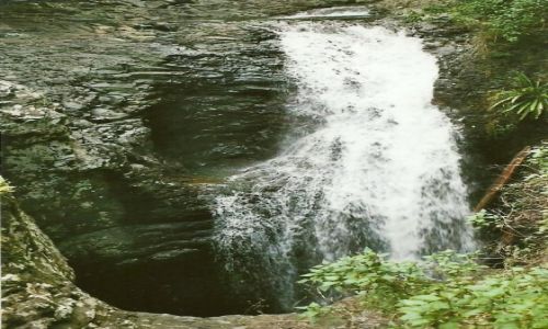 Zdjęcie AUSTRALIA / Queensland / Springbrook N.P, / Wodospad Natural Bridge