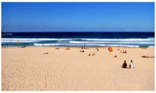 Zdjcie AUSTRALIA / Sydney / Bondi  / Bondi Beach