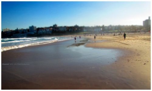 Zdjcie AUSTRALIA / Sydney / Bondi  / On the Beach