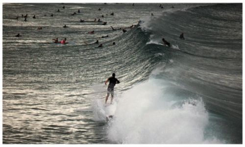 Zdjcie AUSTRALIA / Sydney / Manly / Surfing Addicts