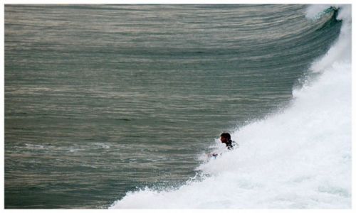 Zdjcie AUSTRALIA / Sydney / Manly / Runner