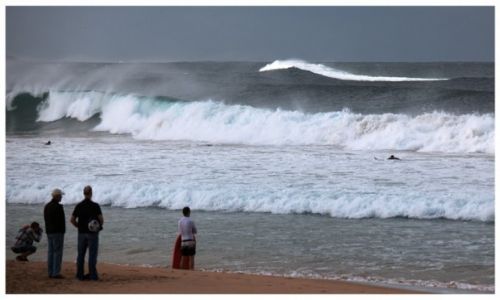 Zdjcie AUSTRALIA / Sydney / Manly / Astonished
