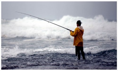 Zdjcie AUSTRALIA / Sydney / Palm Beach / Angler