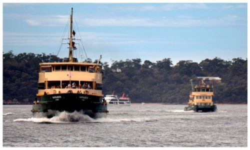 Zdjcie AUSTRALIA / Sydney / Palm Beach / Ferries