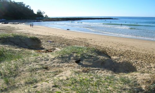 Zdjcie AUSTRALIA / NSW / Broulee / Nad oceanem
