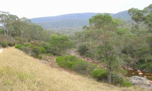 Zdjcie AUSTRALIA / NSW / Snowy Mountains / W gorach