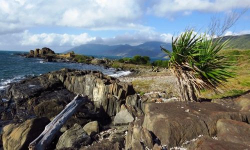 AUSTRALIA / Queensland / Cooktown / Wschodnie Wybrzee