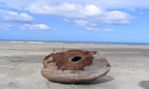 Zdjecie AUSTRALIA / brak / Cape Tribulation / (o)