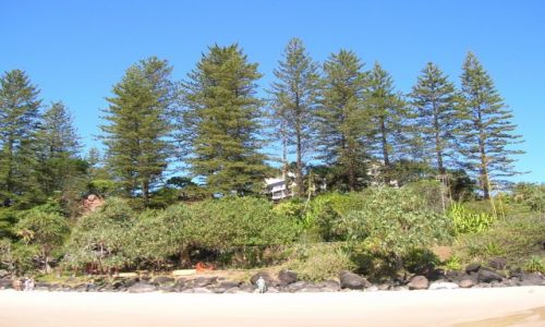 Zdjcie AUSTRALIA / Queensland / Coolangatta / Widok na Green Mount
