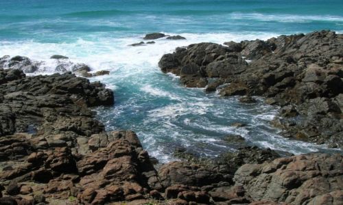 Zdjecie AUSTRALIA / Okolice Bayron Bay / okolice Bayron Bay / Przyroda, ocean..