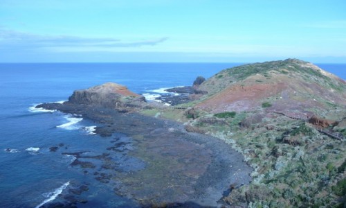 Zdjcie AUSTRALIA / VIC / Mornington Pennisula / Cape Schanck