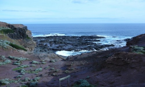 Zdjcie AUSTRALIA / VIC / Mornington Pennisula / Cape Schanck