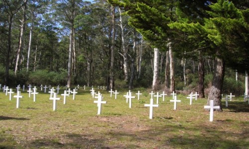 Zdjęcie AUSTRALIA / Victoria / Glen Willis locality / Cmentarz w gorach