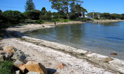 Zdjęcie AUSTRALIA / Victoria / Metung / Lake King