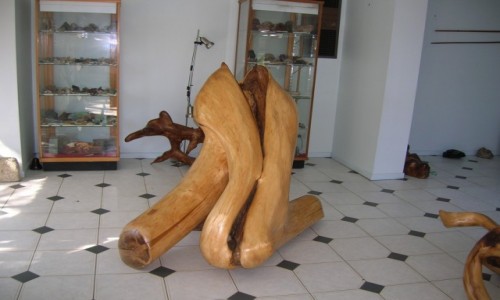 Zdjęcie AUSTRALIA / Victoria / Nowa Nowa / Rzezby z korzeni