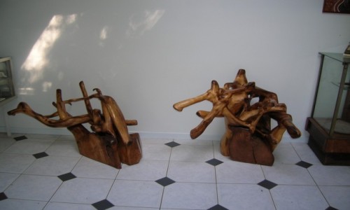 Zdjęcie AUSTRALIA / Victoria / Nowa Nowa / Rzezby z korzeni drzew