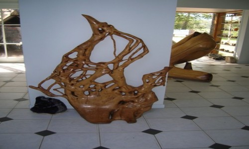 Zdjęcie AUSTRALIA / Victoria / Nowa Nowa / Artystyczne rzezby z korzeni drzew