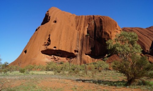 Zdjcie AUSTRALIA / Terytorium Pnocne / Uluru / Uluru z tyu