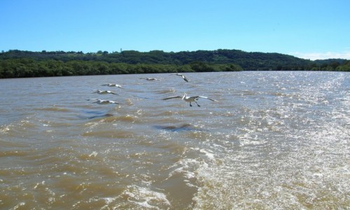 Zdjęcie AUSTRALIA / Wsch Australia / Tweed River / Lecimy