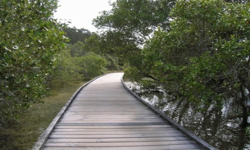 Zdjęcie AUSTRALIA / Qld / Currumbin / Boardwalk