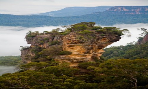 Zdjcie AUSTRALIA / New South Wales / Blue Mountains / Blue Mountains
