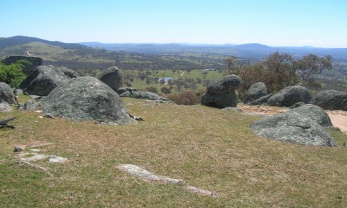 Zdjęcie AUSTRALIA / NSW / Na farmie / Widok w sloneczny dzien