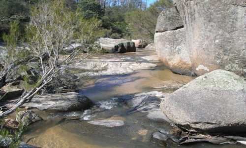 Zdjęcie AUSTRALIA / NSW / Na farmie / Strumyk w sloneczny dzien