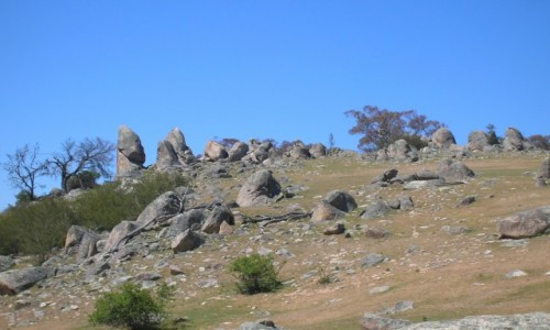 Zdjęcie AUSTRALIA / NSW / Na farmie / Skalki na szczycie