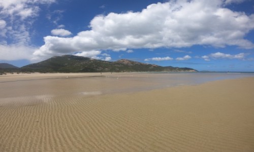 Zdjecie AUSTRALIA / Wilsons Promontory / Norman Beach / Norman Beach