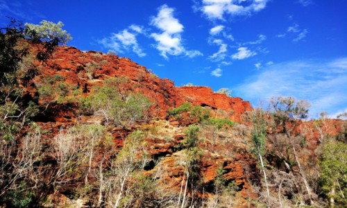 Zdjecie AUSTRALIA / WA / WA / Karijini NP