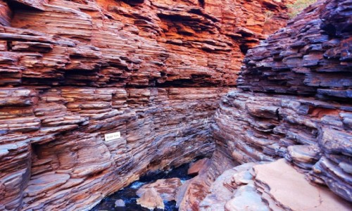 Zdjecie AUSTRALIA / WA / WA / Spider Walk