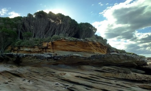 Zdjecie AUSTRALIA / Okolice Sydney / Park Bandena / Bandena