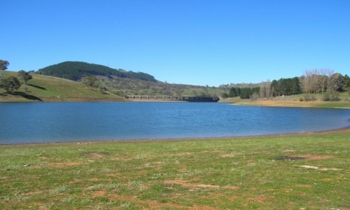 Zdjęcie AUSTRALIA / Blayney / okolice / Tama i przyroda