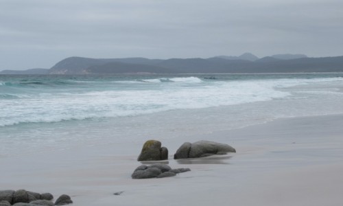 Zdjęcie AUSTRALIA / Tasmania / Friendly Beaches / Daleko