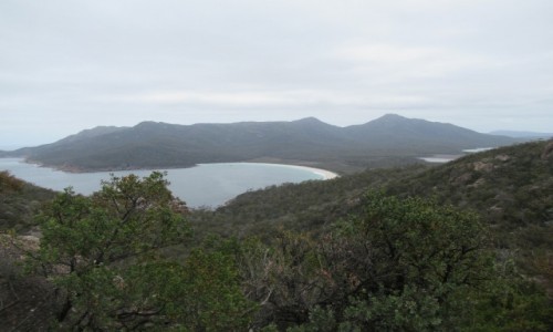 Zdjęcie AUSTRALIA / Tasmania / Wineglass Bay / Natura dalekich okolic