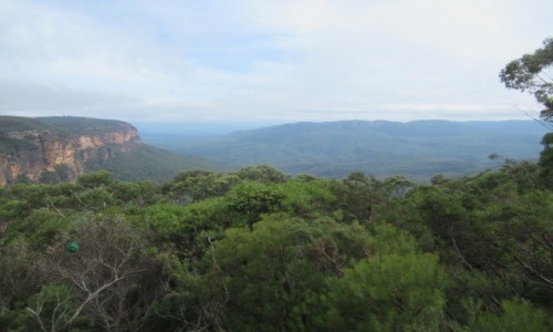 Zdjcie AUSTRALIA / New South Wales / 100 km od Sydney / Blue Mountain