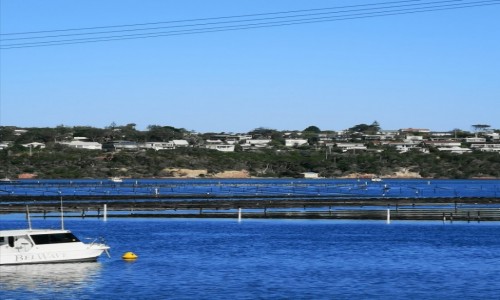 Zdjecie AUSTRALIA / NSW  / Merimbula  / Farma ostryg 