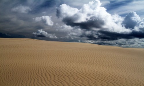 Zdjęcie AUSTRALIA / NSW / Stockton Beach /