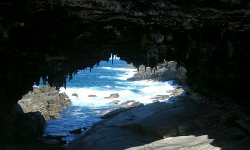 Zdjęcie AUSTRALIA / KANGAROO ISLAND / BASEN POLUDNIOWOAUSTRALIJSKI / chociaz raz to zobaczyc....